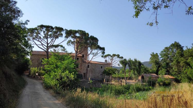 masia-torre-lloreta-s.xiii-1
