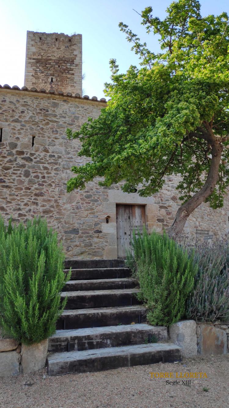 masia-torre-lloreta-s.xiii-4