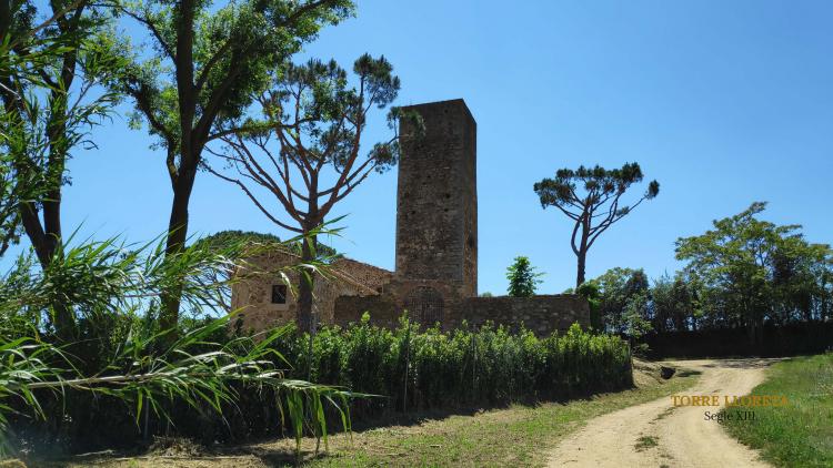 masia-torre-lloreta-s.xiii-8