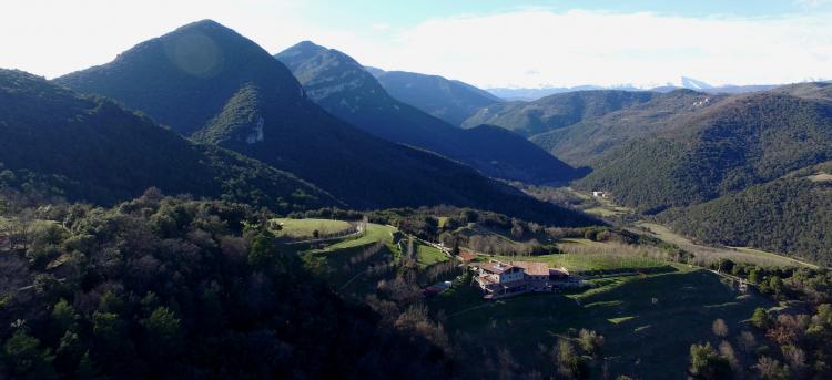 mas-pineda-6
