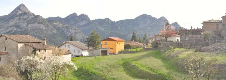 can-amador-3