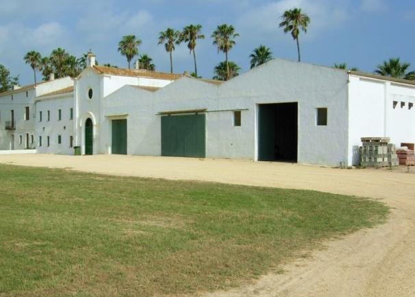 Isla de Buda