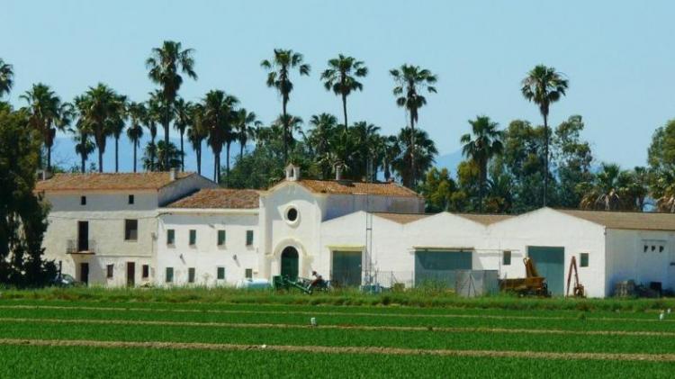 isla-de-buda-1