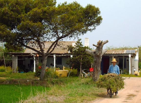 isla-de-buda-3