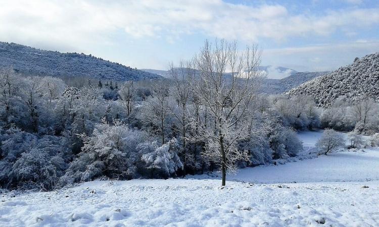 la-pallissa-del-castell-7