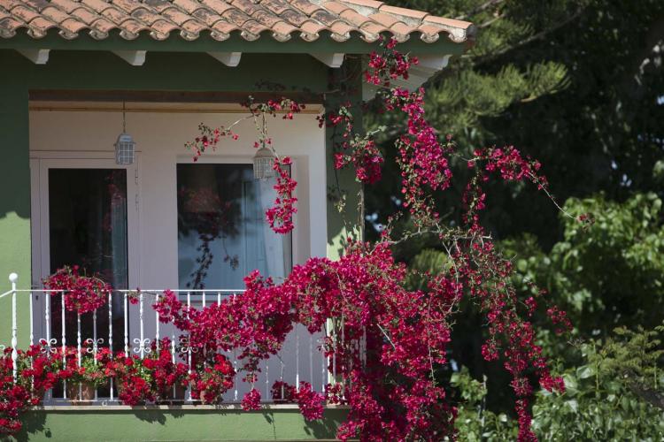 riu-ebre-8