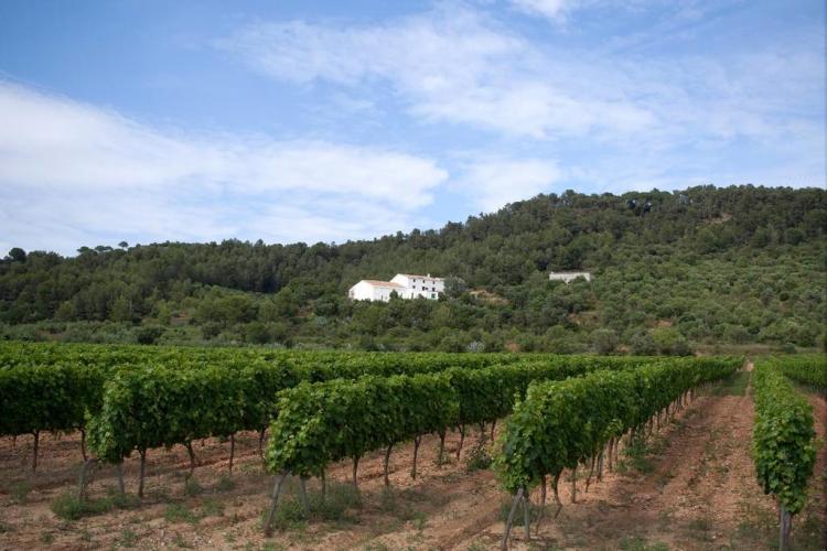 maset-de-la-costa-2
