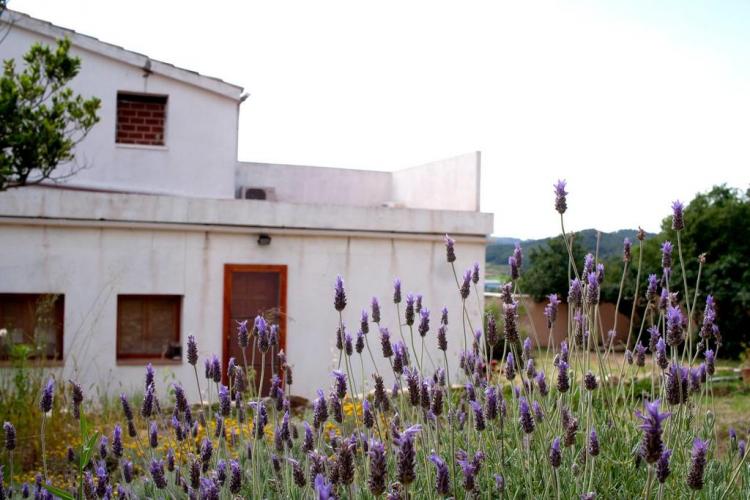maset-de-la-costa-9