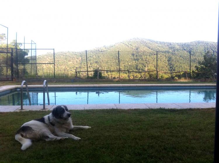 Casa Rural Can Feliu