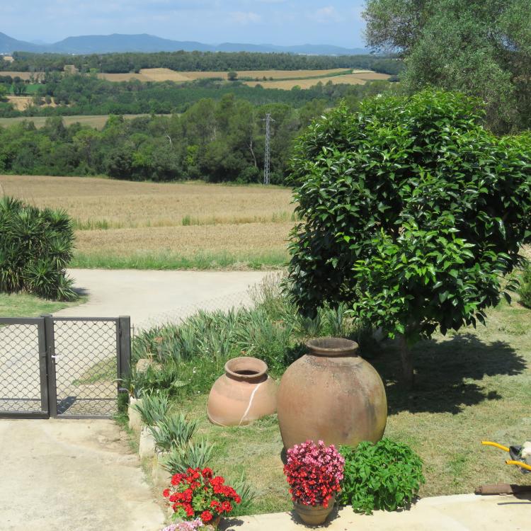 cal-guillot-3