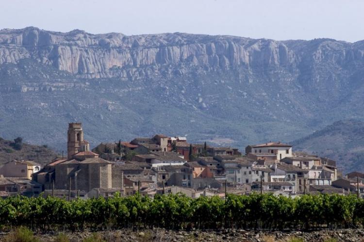 cal-joanet-de-gratallops-7