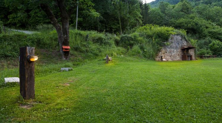can-camps-1