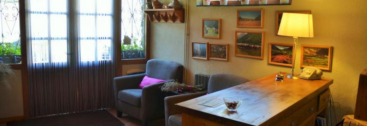 casa-borrut-4
