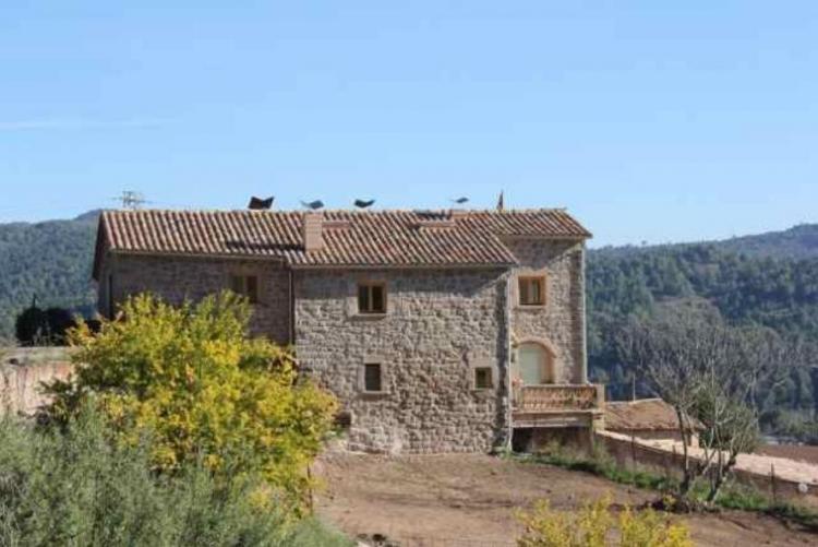 l-alzina-de-merola-1
