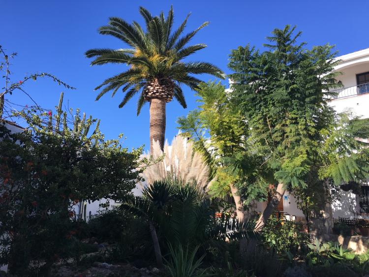 masia-botargo-4