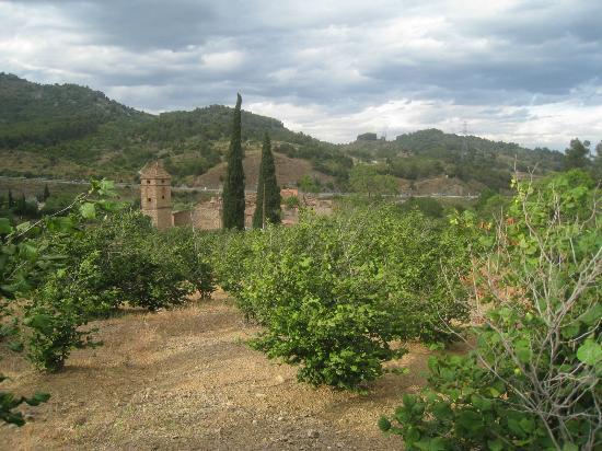 les-velles-escoles-5