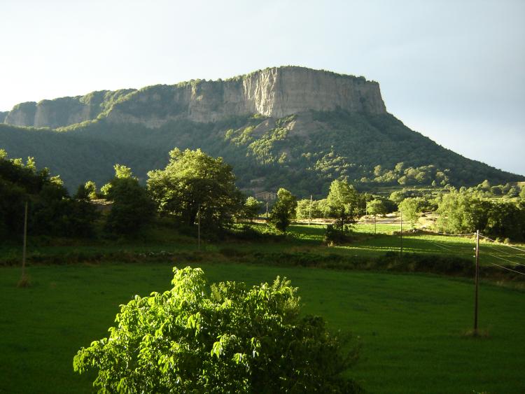 El Colomer
