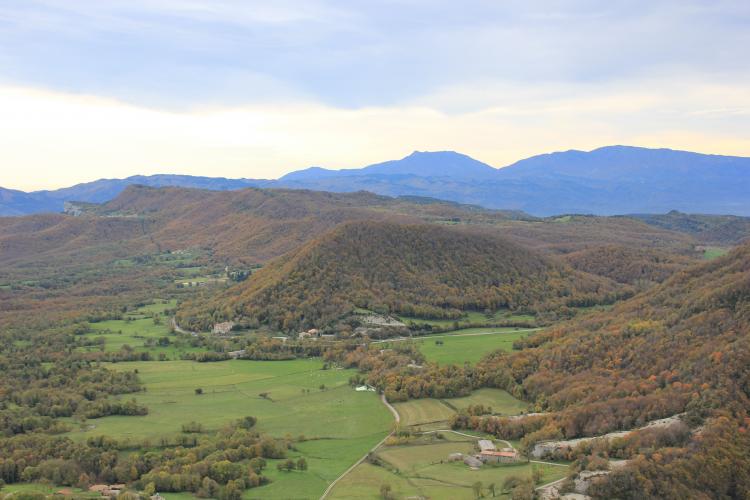 el-colomer-1
