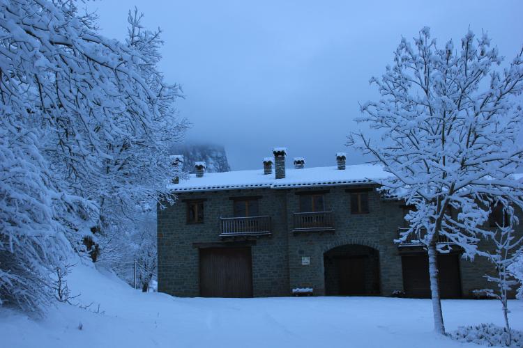 el-colomer-4