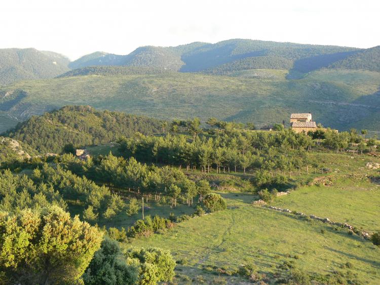 buseu-casa-rural-felip-7