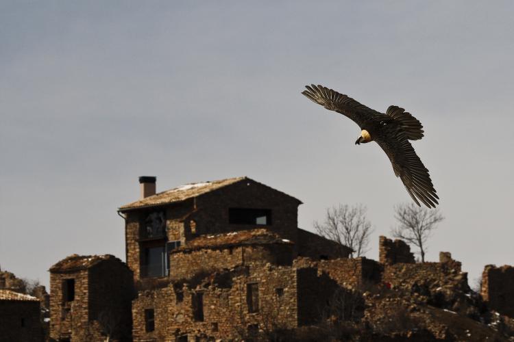 buseu-casa-rural-felip-9