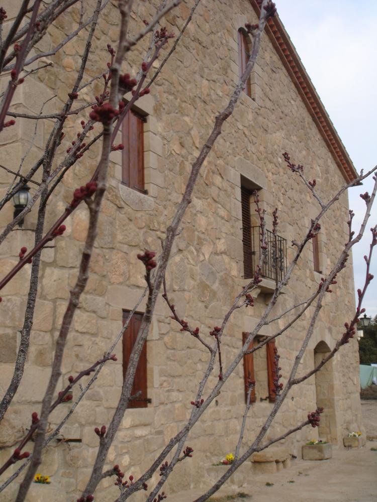 cal-blanquillo-3