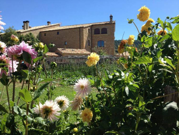 vilanova-disanta-4