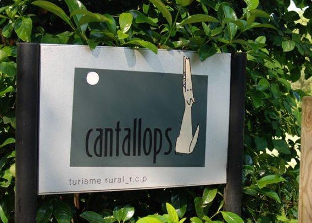 mas-cantallops-3