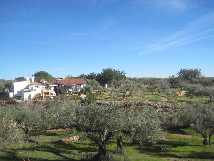 casa-rural-delta-del-ebro-villafeliche-9