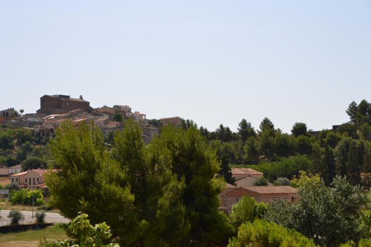 cal-pallargues-4