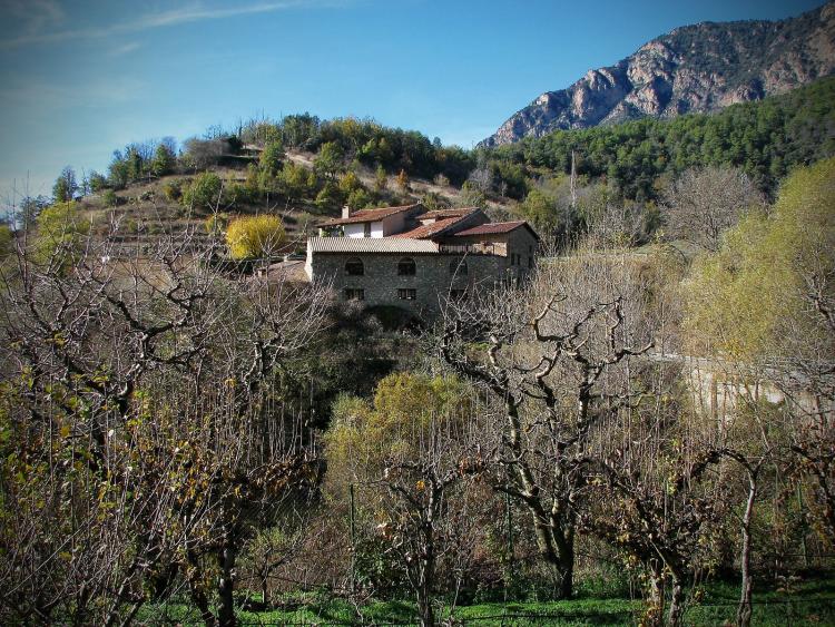 el-paller-de-cal-roig-1