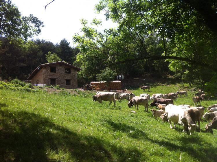 borda-de-calvera-2