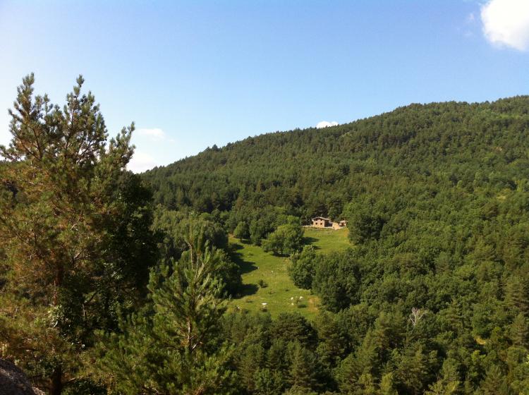 borda-de-calvera-4