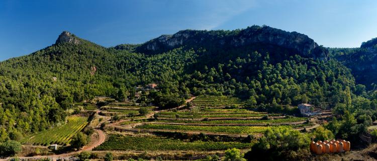finca-fontanals-1