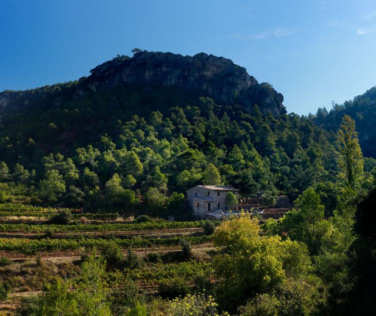 finca-fontanals-2