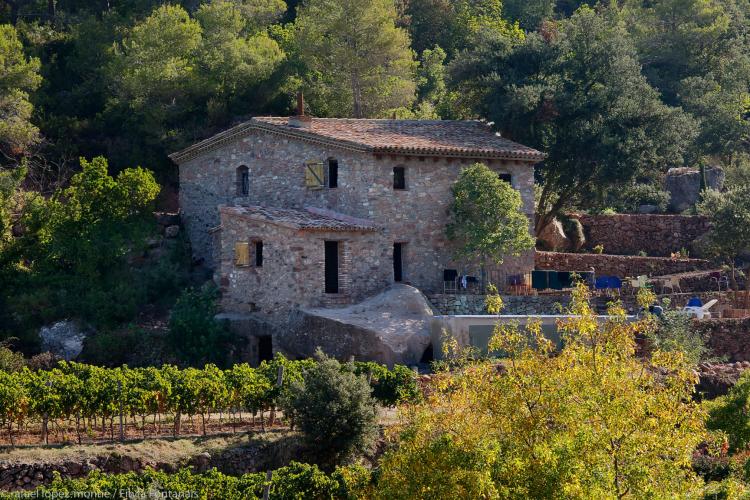 finca-fontanals-4