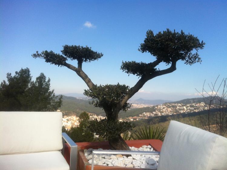 petit-mirador-2