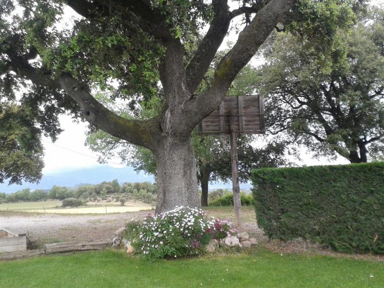 casa-cal-peu-curt-6
