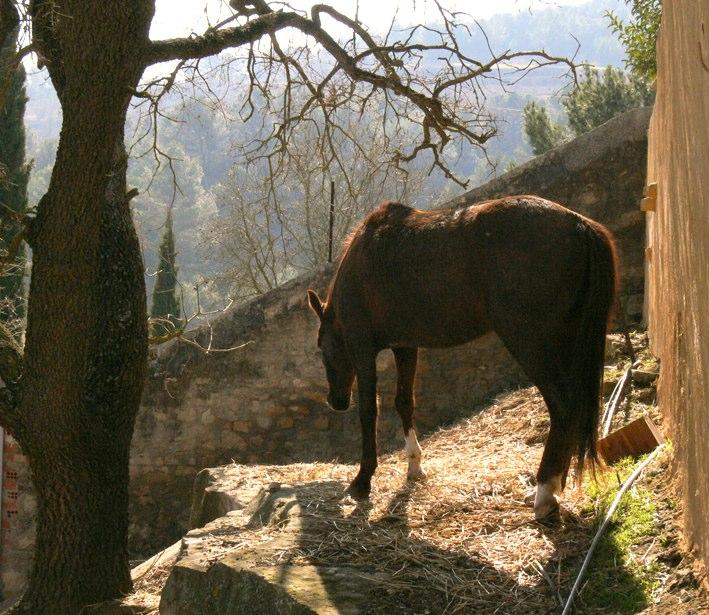 antic-balneari-de-rocallaura-8