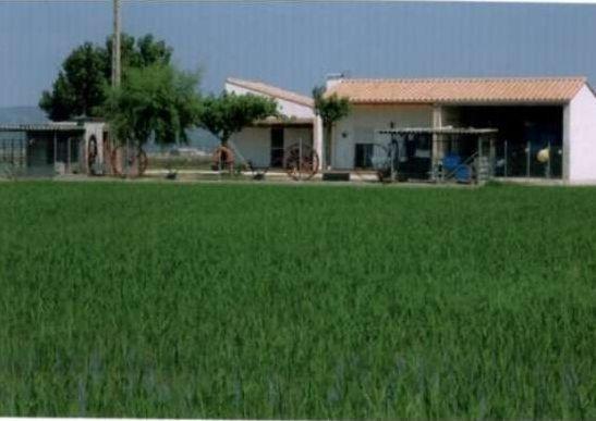 caseta-montanyana-6