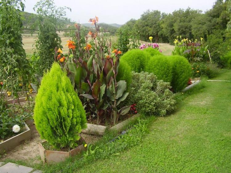 mas-la-riera-4