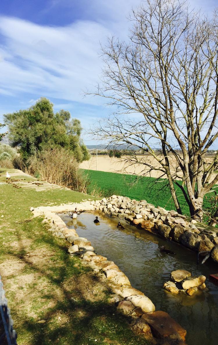 can-bech-rural-8