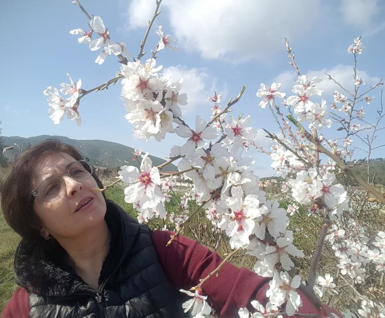 Ca La Laia