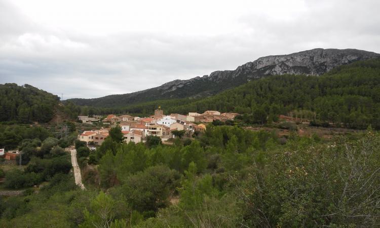cal-jaume-xeco-8