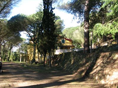 villa-mazzara-6