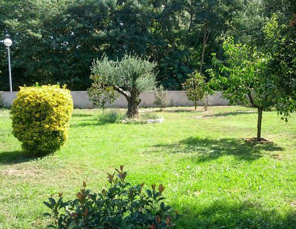 nit-rural-ca-lestrada-4