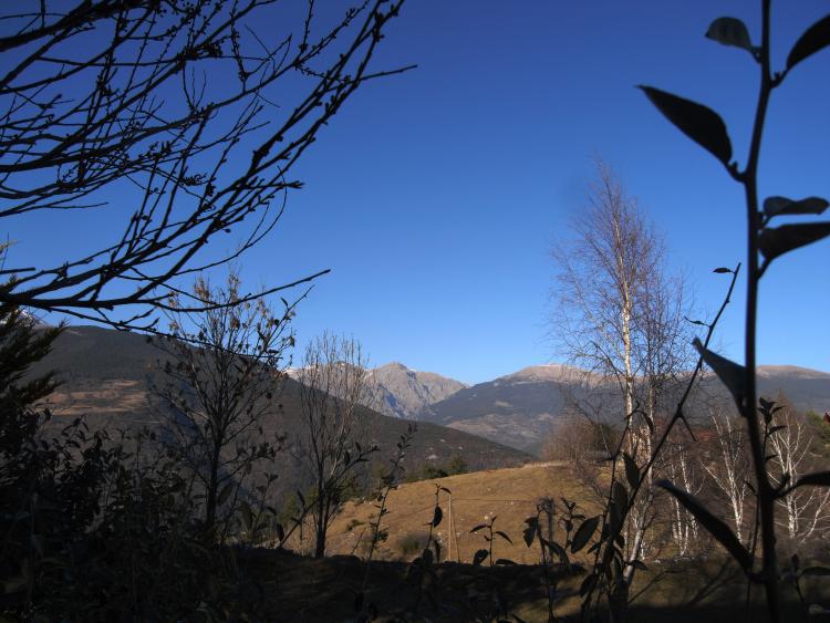 perecampelles-5